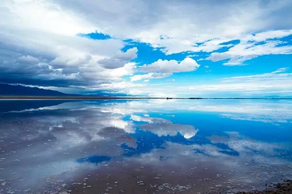 中国餐厨垃圾处理现状：“厌氧发酵”为餐厨垃圾处理的主流技术