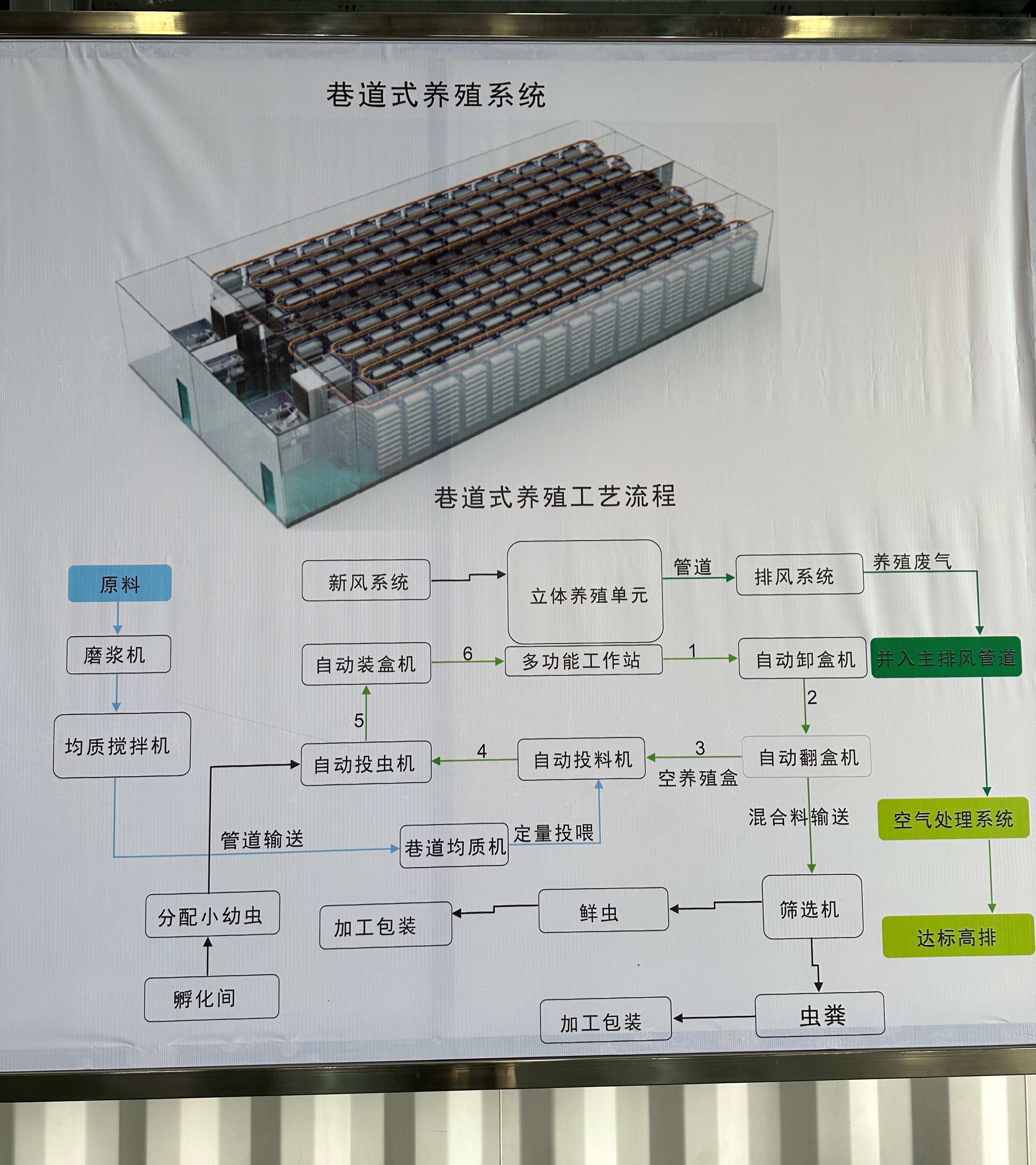 黑水虻处理餐厨垃圾的方法和优势是什么？